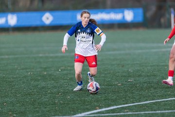 Bild 414 - wBJ Hamburger SV - Holstein Kiel : Ergebnis: 8:0
